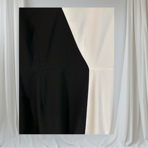 🌻 Tristan Sophisticated Colour-blocked Dress #167 - Picture 6 of 16